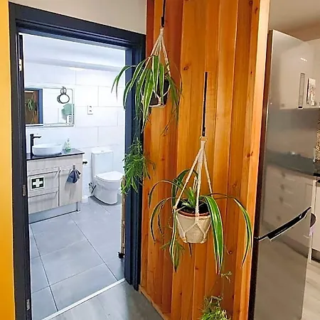 Hotel Newly Renovated Flat Near Centre